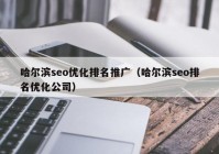 哈尔滨seo优化排名推广（哈尔滨seo排名优化公司）