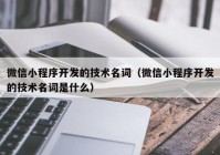 微信小程序开发的技术名词（微信小程序开发的技术名词是什么）