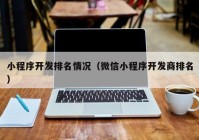 小程序开发排名情况（微信小程序开发商排名）