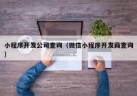 小程序开发公司查询（微信小程序开发商查询）