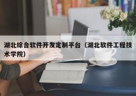 湖北综合软件开发定制平台（湖北软件工程技术学院）