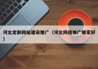 河北定制网站建设推广（河北网络推广哪家好）